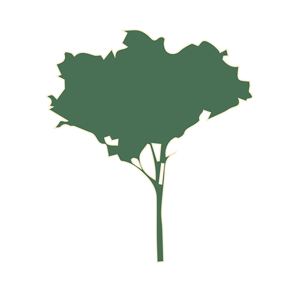 �x�W��ͺؾ�